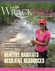 Wrack Lines 16-02 cover